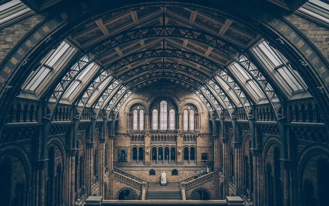 Transforming the Museum Experience